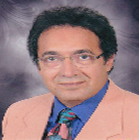 Prof. Dr. Yasine QANDILE